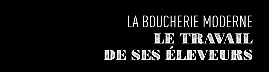 Le travail des éleveurs de la Boucherie Moderne