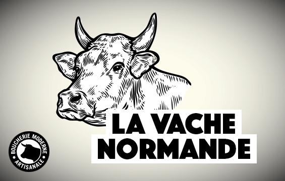 vache normande