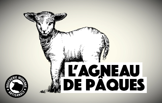 Agneau de Paques : tout savoir