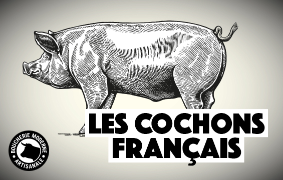 les cochons français