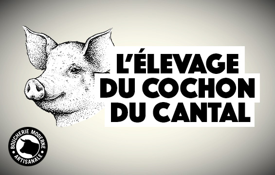 Couverture du blog
